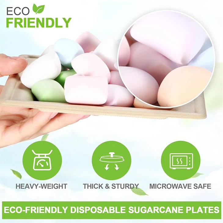 sugar bagasse plates eco-friendly