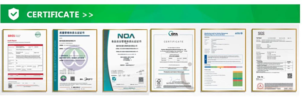 certificate of our team of biodegradable coffee cups with lids certificate of our team of biodegradable coffee cups with lids
