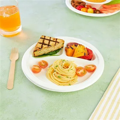 サトウキビ廃棄物皿